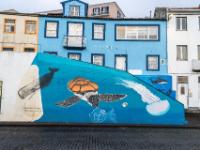 Bemalte Wand an Treppenaufgang - Horta - Faial